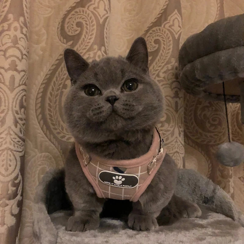 Fashion Plaid Cat Harnesses for Cats Summer