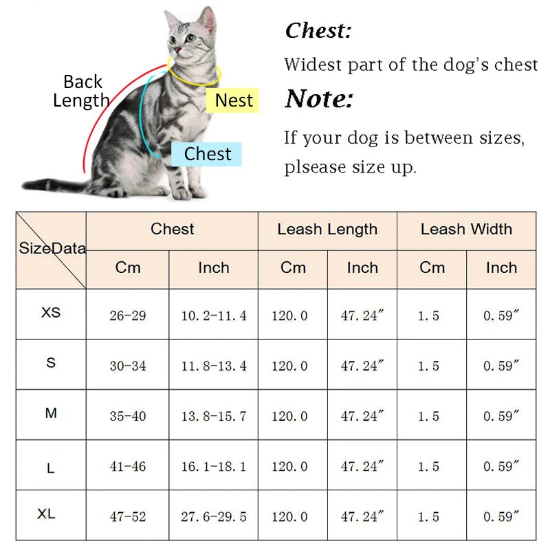 Fashion Plaid Cat Harnesses for Cats Summer