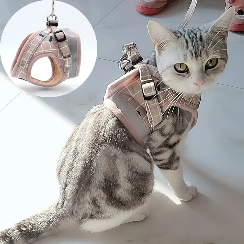 Fashion Plaid Cat Harnesses for Cats Summer