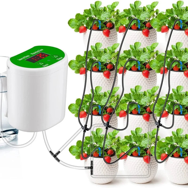 Timer System Automatic Watering Pump Controller Flowers Plants Home Sprinkler Drip Irrigation Device Pump Timer System Garden